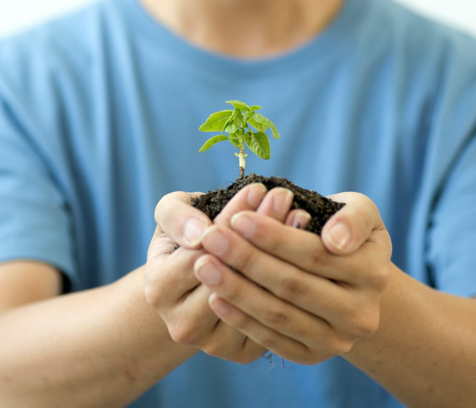 a man holding a small plant in his hands