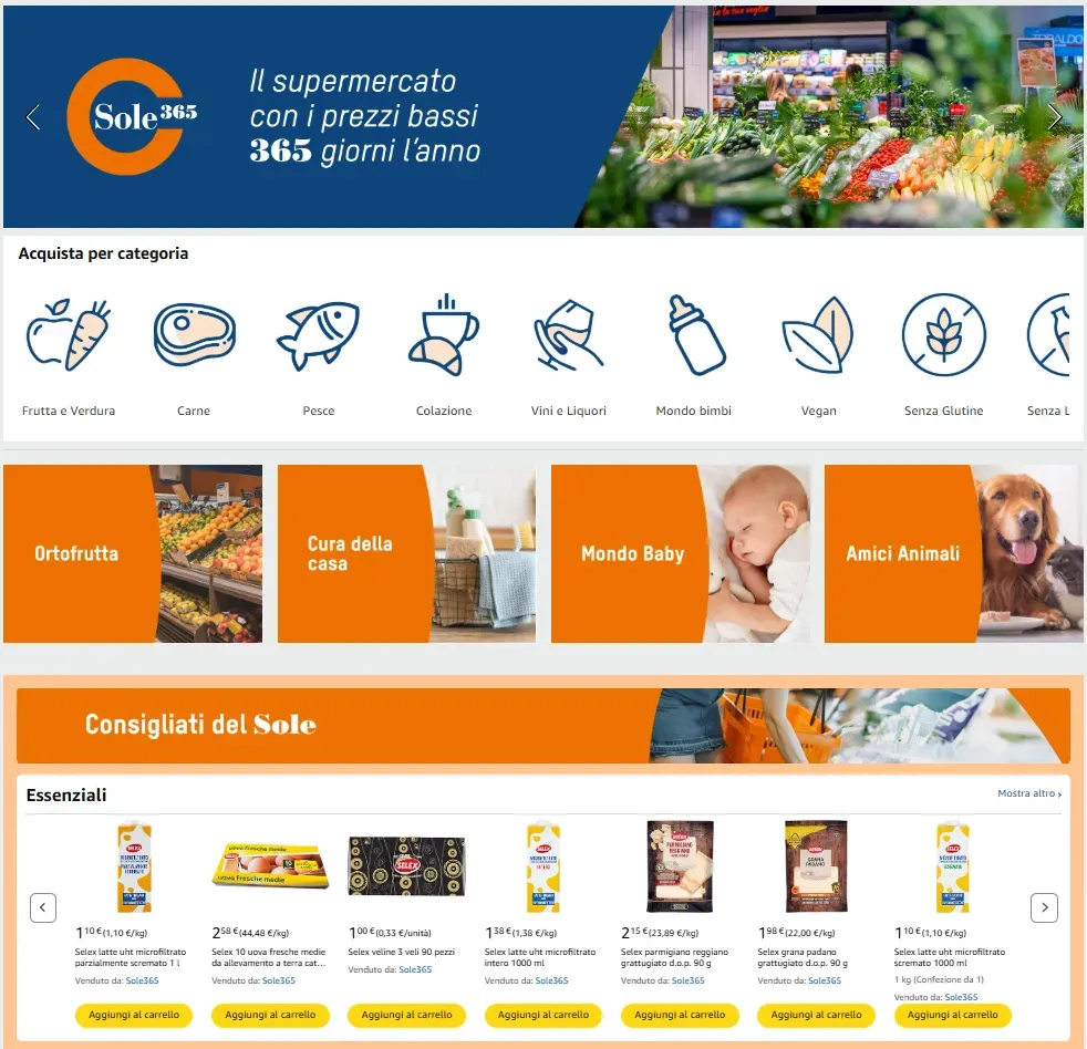 Screenshot dello store online