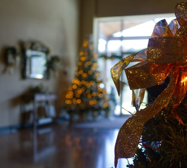 Novembre è il nuovo dicembre:  su idealo è boom di ricerche legate al Natale